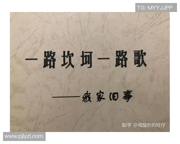 焦泊乔：在时代洪流中追寻梦想与自我价值的年轻奋斗者